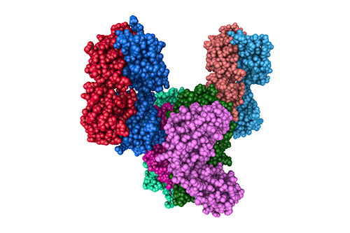 DNA/RNA Modifications